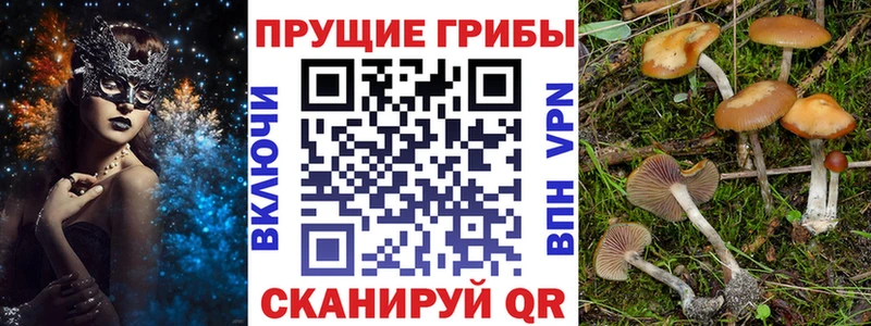 маркетплейс телеграм  Алейск  Псилоцибиновые грибы Psilocybe 