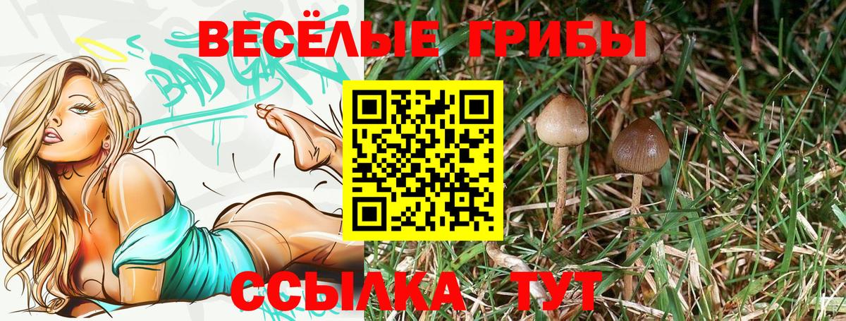 МЕТ  ГАШ  ТГК  Алейск  МЕФ кристаллы  НБОМе  Вход с VPN  Канабис  Меф 