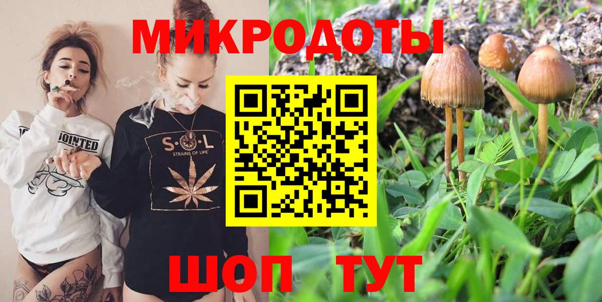 наркошоп  Вход с VPN  Галлюциногенные грибы Magic Shrooms  Алейск  Псилоцибиновые грибы GOLDEN TEACHER 
